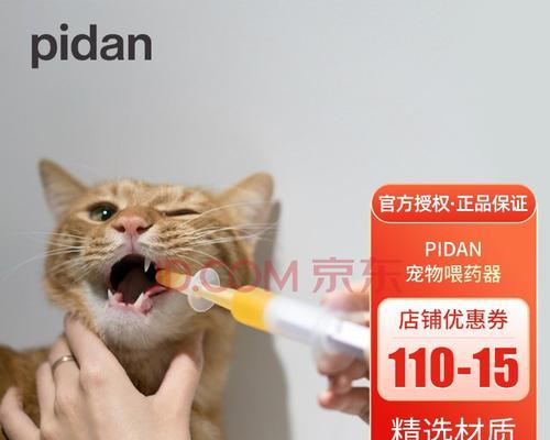 怎么给猫咪喂药视频？视频教程有哪些步骤和技巧？