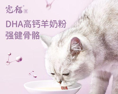 怎么给小猫冲羊奶粉？正确的步骤和注意事项是什么？