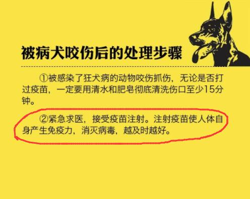 得了狂犬病怎么检查？有哪些症状和诊断方法？