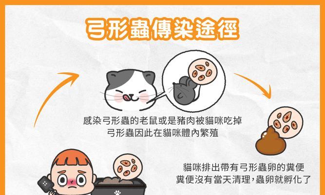 猫咪弓形虫怎么检查？检查步骤和注意事项是什么？