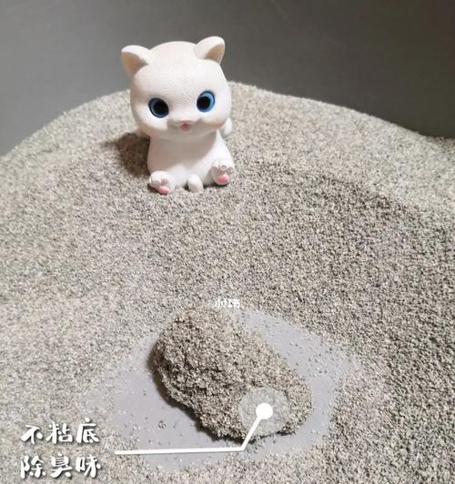 猫咪不使用猫砂怎么办？教你一步步训练猫咪正确使用猫砂盆