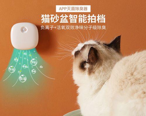 猫咪不使用猫砂怎么办？教你一步步训练猫咪正确使用猫砂盆