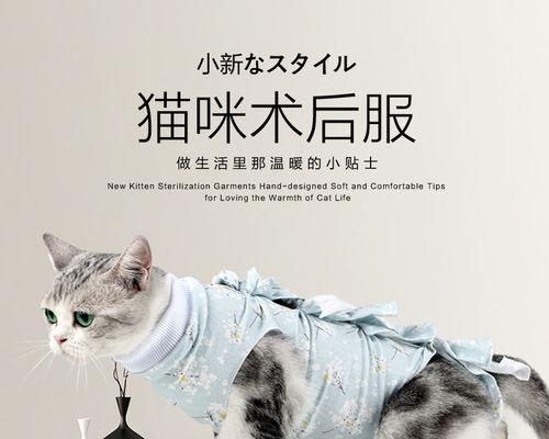 怎么看猫有没有绝育？绝育后的猫咪有哪些特征？