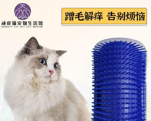 猫咪不抓猫抓板怎么办？有效训练方法是什么？