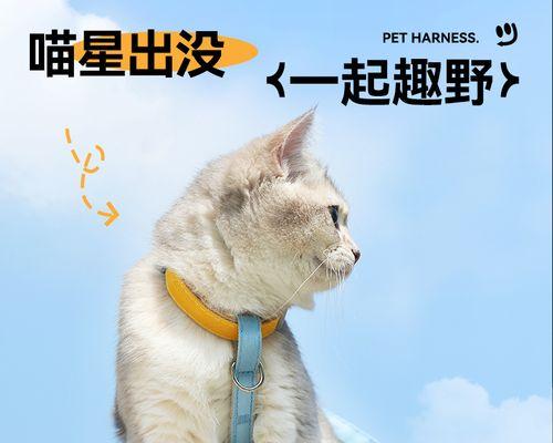 怎么让小猫和人亲近？有效的方法和技巧是什么？