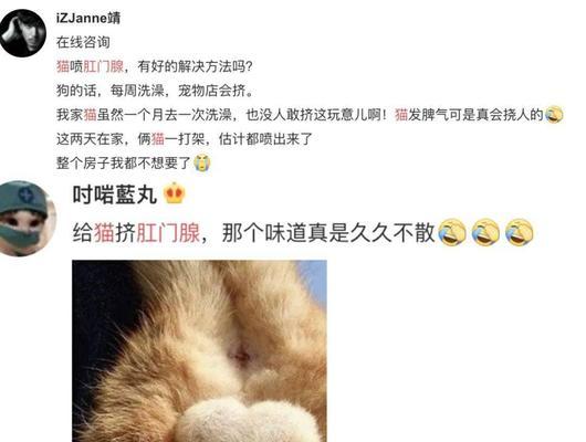 猫咪肛门腺清洗方法是什么？步骤和注意事项有哪些？