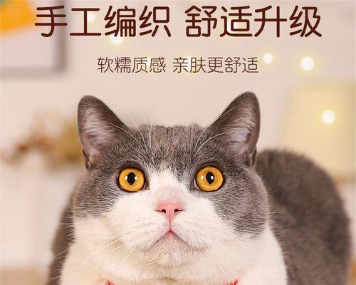 训练猫咪踩铃铛的正确方法是什么？需要多长时间才能学会？