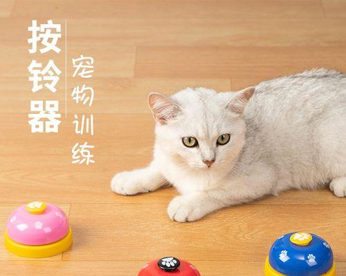 怎么引诱小猫进猫包？试试这些简单有效的方法！