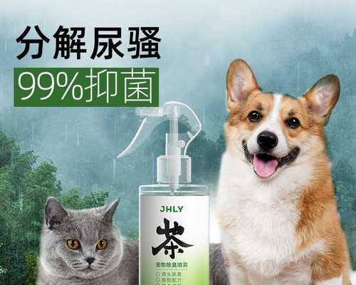 怎么知道猫尿在哪里？有效清洁和预防的技巧是什么？