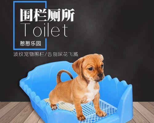 怎么知道幼犬要拉尿？训练幼犬上厕所的技巧是什么？