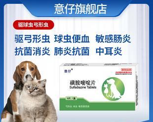 猫咪感染弓形虫怎么办？有效治疗方法有哪些？