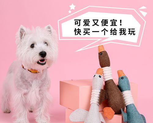 怎么做狗狗玩的玩具？有哪些创意DIY方法？