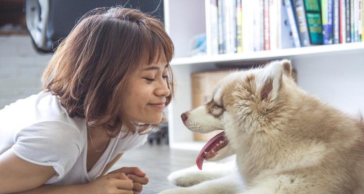 怎样抱狗狗舒服图片？抱狗姿势有哪些误区？