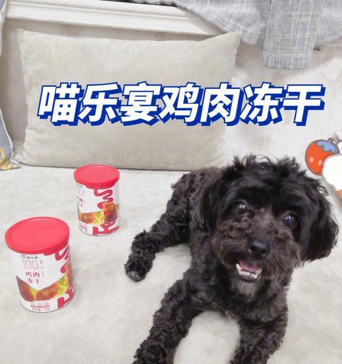 怎样给狗狗做鸡肉吃？狗狗吃鸡肉有哪些好处？