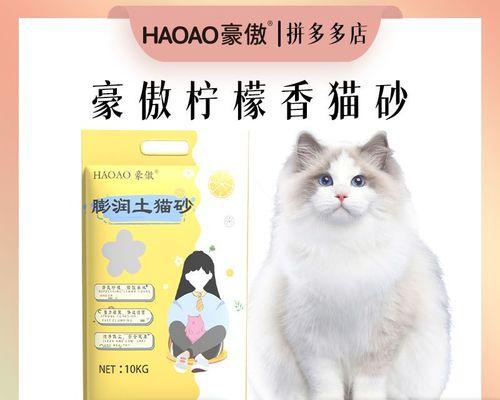 怎样让猫咪快速适应猫砂盆？常见问题有哪些？