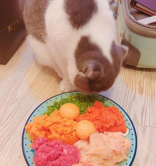 自制猫饭要添加什么营养成分？如何确保猫咪健康饮食？