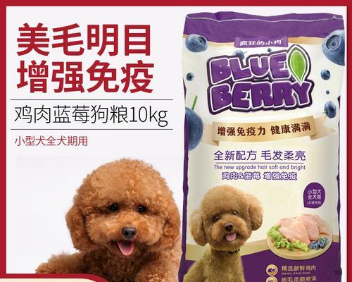 比熊成犬应该吃什么狗粮？如何选择合适的狗粮品牌？