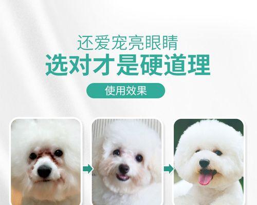 比熊犬用什么眼药水好？如何正确选择和使用？