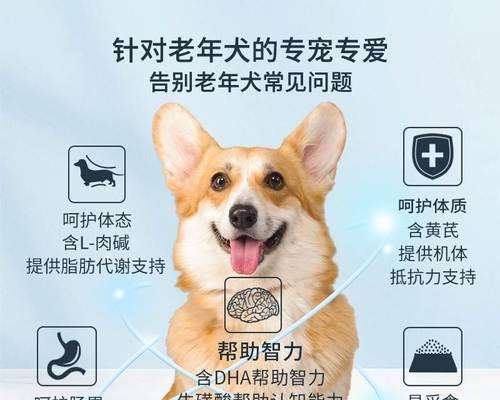 比熊幼犬狗粮的配方是什么？如何选择适合的狗粮？