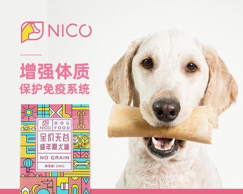 成年犬狗粮一天应该喂几次？如何根据犬种调整喂食频率？