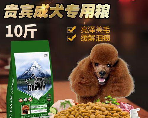 成年犬狗粮一天应该喂几次？如何根据犬种调整喂食频率？