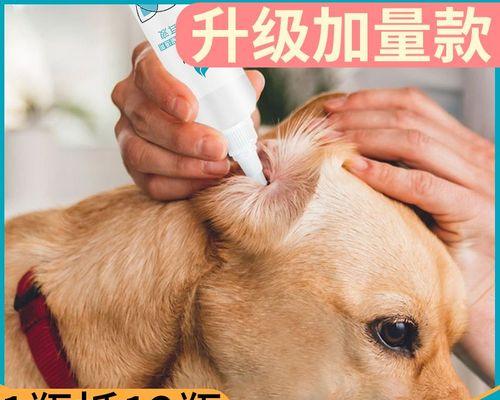 给猫清洁耳朵用什么好？如何正确清洁猫耳朵？