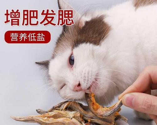 给猫咪吃煮熟的牛肉有什么好处？需要注意哪些问题？