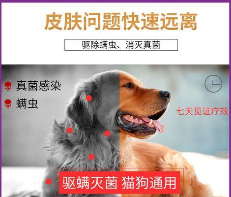 狗狗肛门痒怎么办？哪种药物治疗效果最佳？