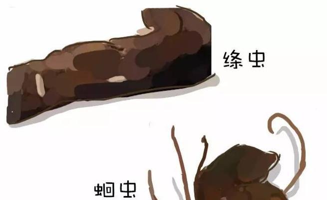 狗狗便便颜色异常怎么办？正常颜色范围是什么？