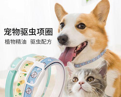 狗狗误食跳蚤后吐白沫怎么办？常见原因及处理方法是什么？