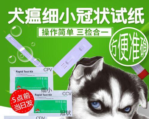 狗狗得了犬瘟怎么治？有效治疗方法有哪些？