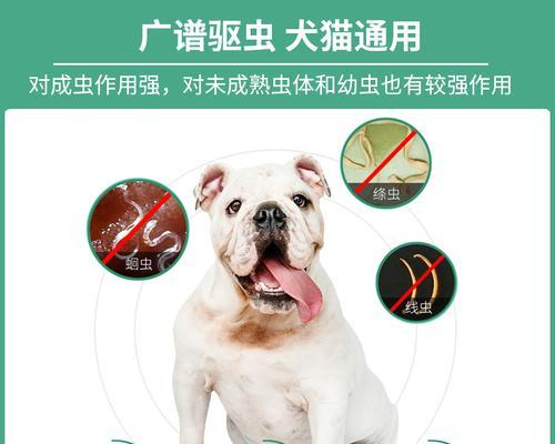 狗狗拉虫子买什么药？如何正确选择宠物驱虫药物？