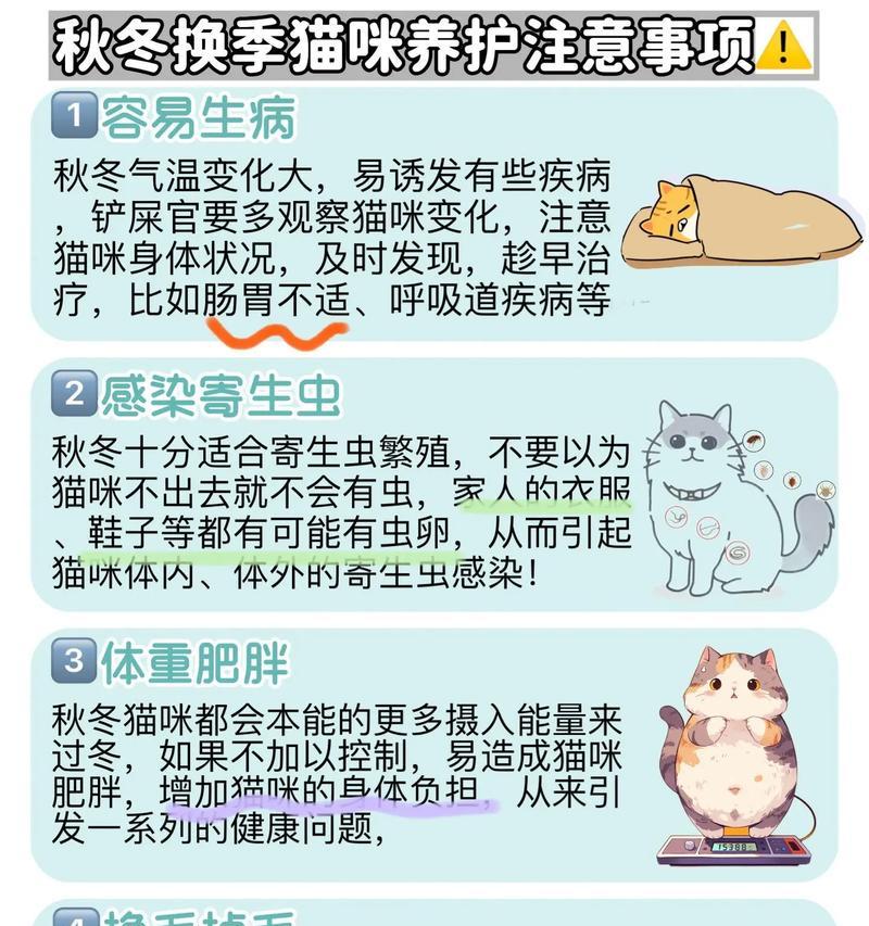 渴望猫粮是全价吗？如何判断猫粮是否适合成猫？