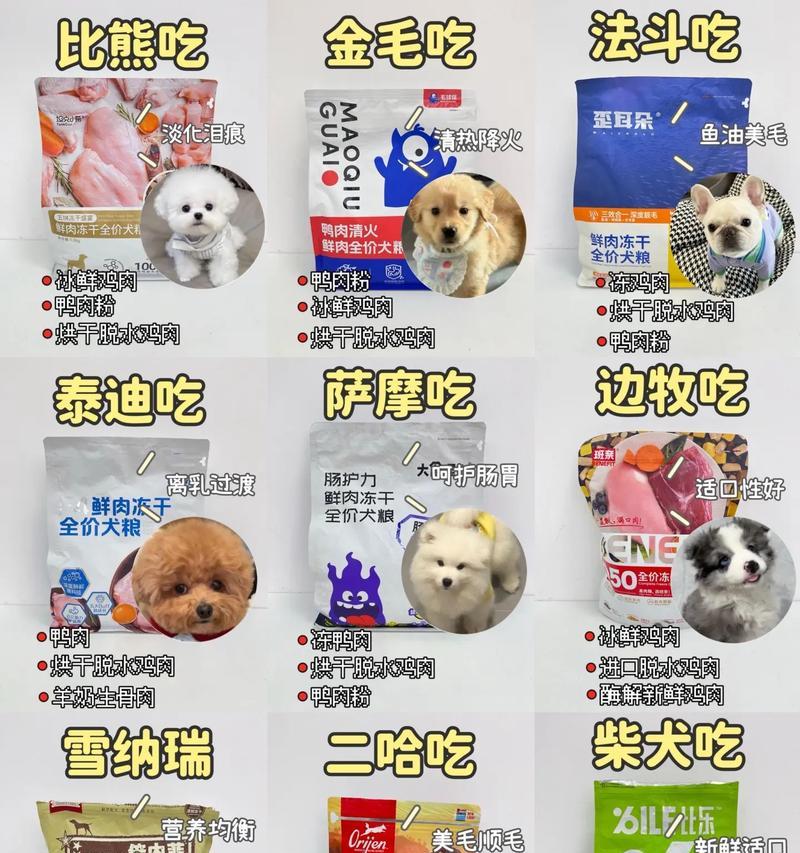 长期喂食狗粮对比熊犬有何影响？正确的喂养方法是什么？