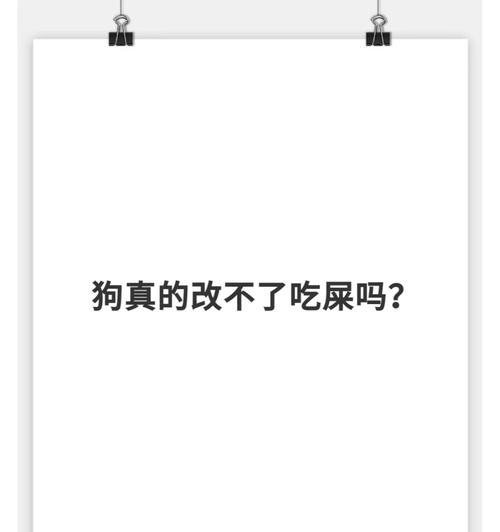 狗可以吃热干面吗？为何更推荐狗粮？