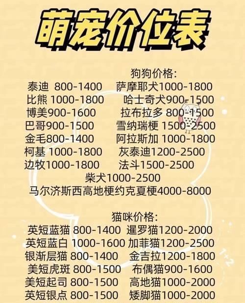 三个月大的比熊犬喂食频率是多少？每次喂多少合适？