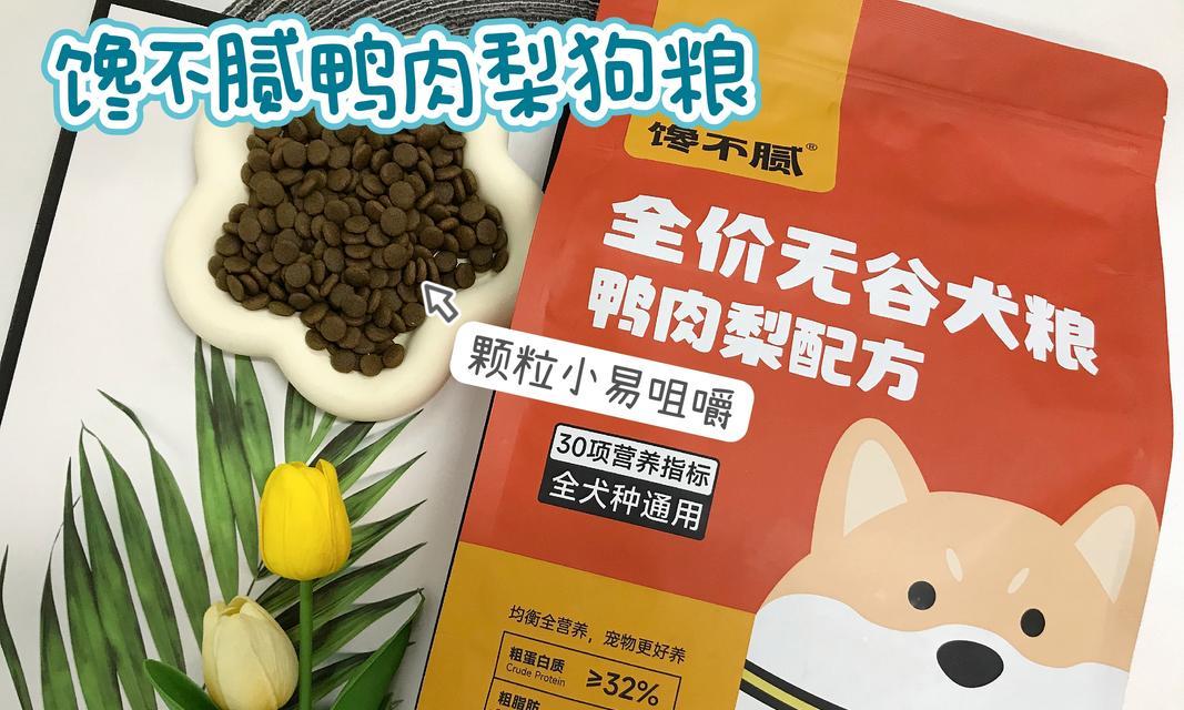 比熊幼犬换粮食应该注意什么？如何确保顺利过渡？