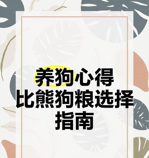 比熊成年后每天吃几顿狗粮？如何制定合理的喂食计划？