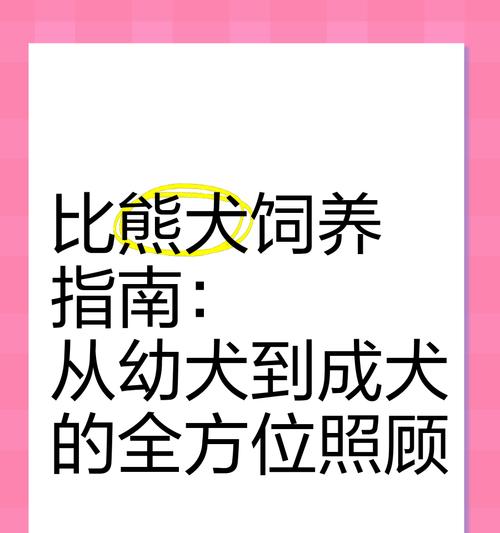 三个月小比熊的狗粮选择建议是什么？