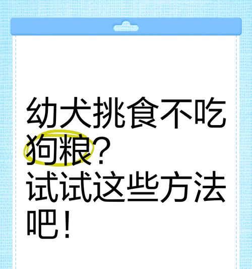 如何训练幼狗吃狗粮？有哪些有效方法？