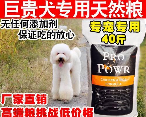 六个月中型犬每顿应吃多少狗粮才合适？