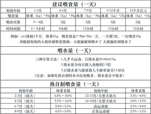 比熊的食物里可以放盐吗？放多少合适？