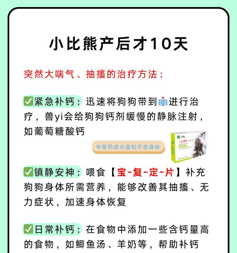 三个月比熊每日喂食次数建议？