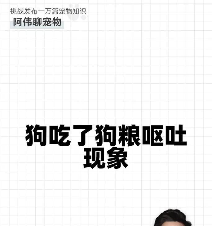 狗能吃热干面吗为什么不吃狗粮了？如何调整饮食？