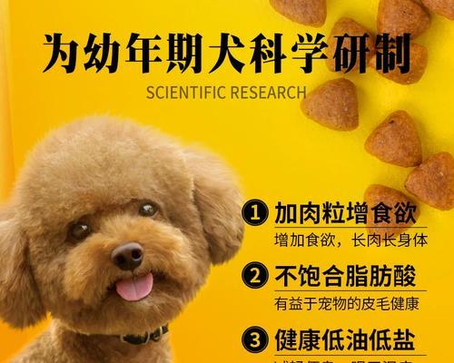 10斤狗粮供两只小型犬能吃多久？如何计算？