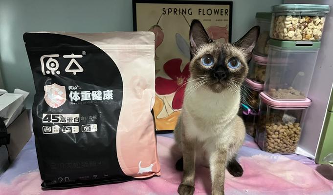 一岁多的暹罗猫猫粮摄入量是多少？如何根据体重调整喂食量？