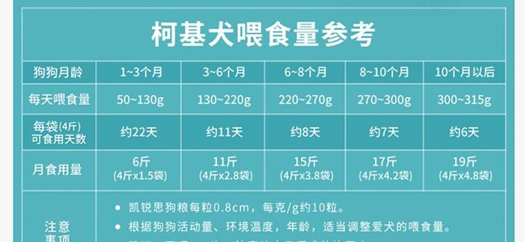 每公斤体重应喂多少狗粮？