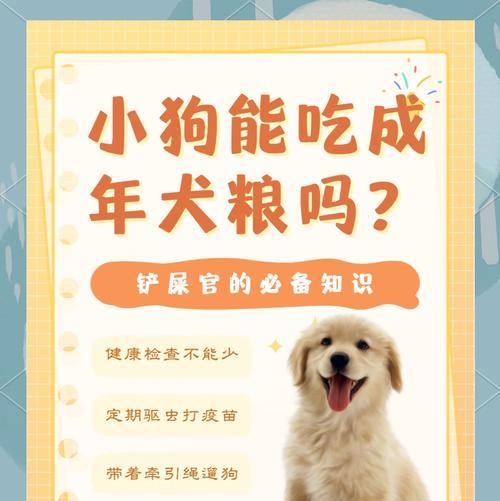 训练幼狗吃狗粮有哪些有效方法？训练过程中应注意什么？