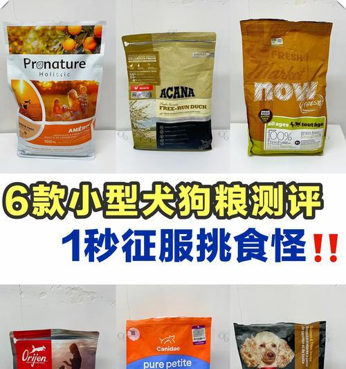 比熊挑食不食狗粮且无精打采如何解决？