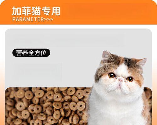 加菲猫最适合哪种猫粮品牌？如何选择优质猫粮？